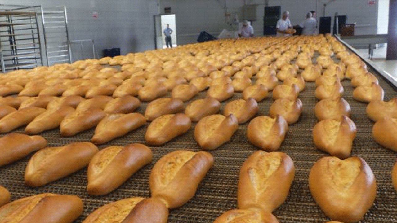 Eskişehir'e yeni halk ekmek fabrikası kurulacak