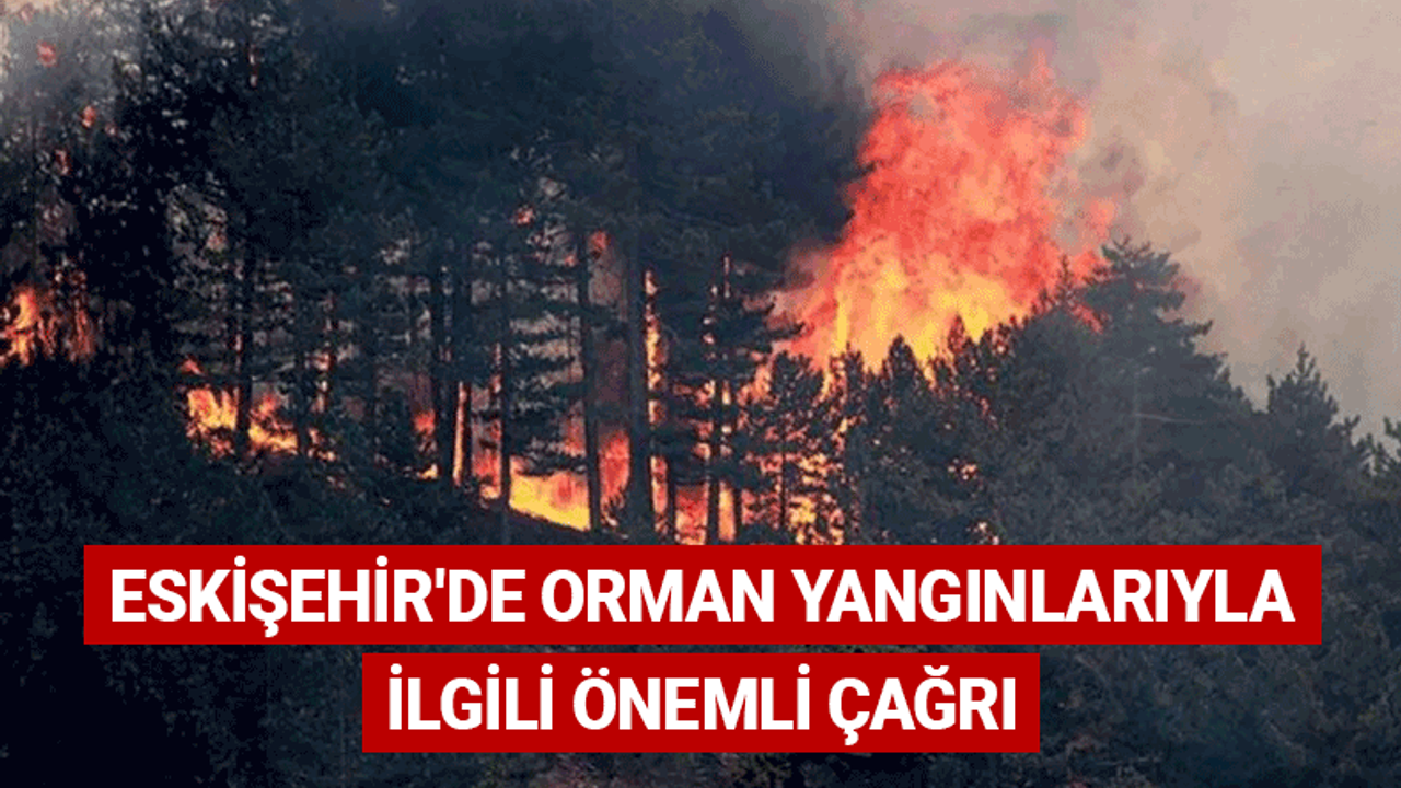 Eskişehir'de orman yangınlarıyla ilgili önemli çağrı