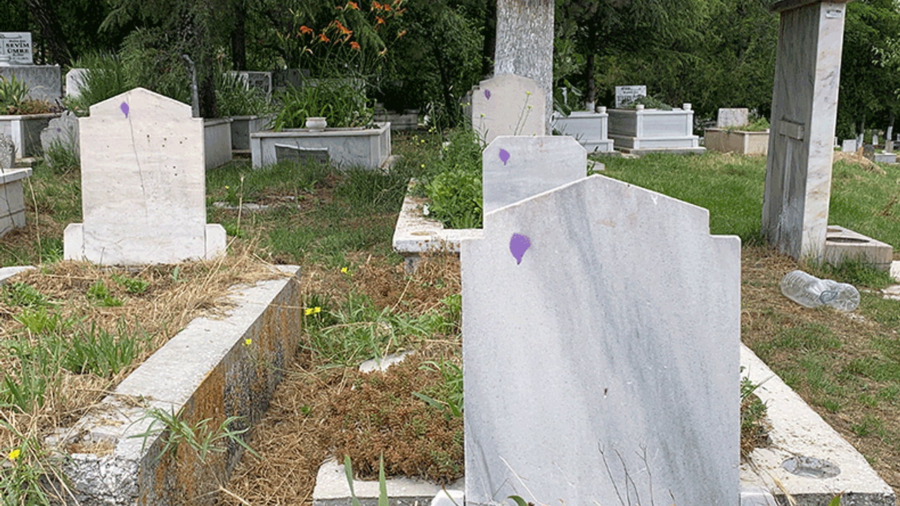 Eskişehir'de mezarlıkta merak uyandıran görüntü