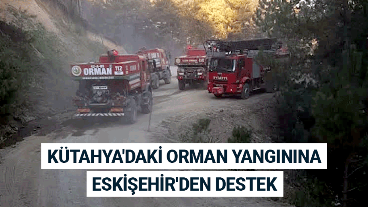 Kütahya'daki orman yangınına Eskişehir'den destek