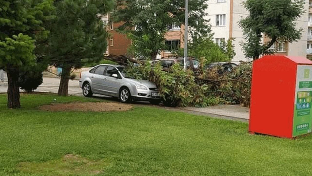 Eskişehir'de otomobilin üzerine ağaç devrildi!