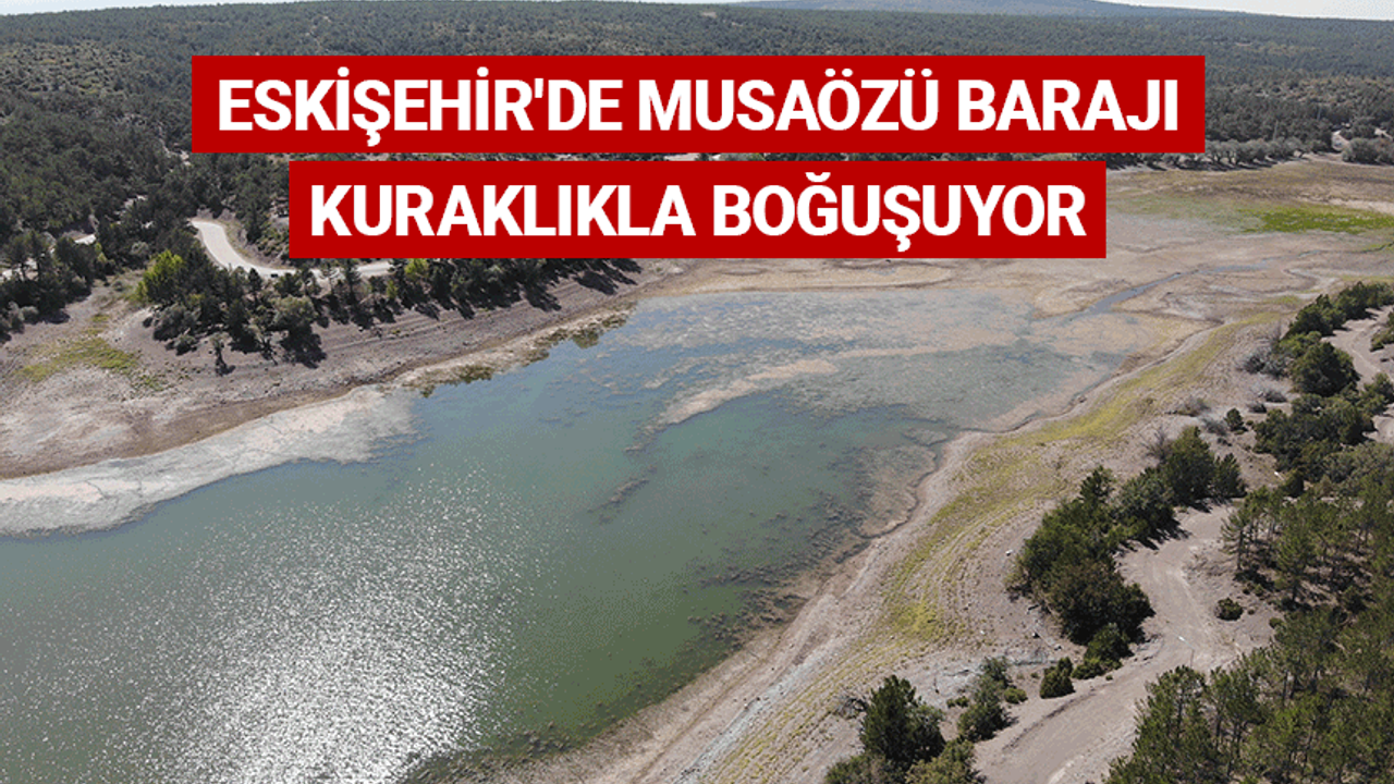 Eskişehir'de Musaözü Barajı kuraklıkla boğuşuyor