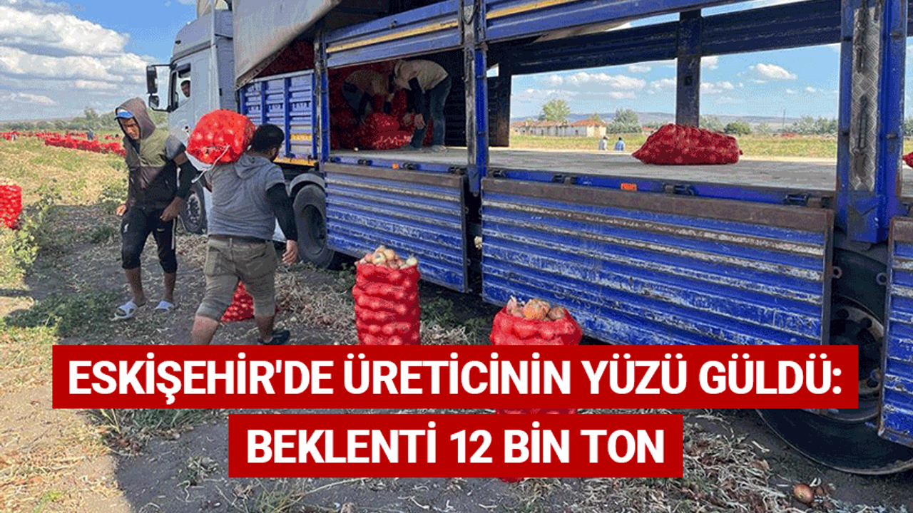 Eskişehir'de üreticinin yüzü güldü: Beklenti 12 bin ton