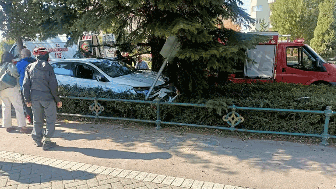 Eskişehir'de kaza! Ağaca çarparak durabildi