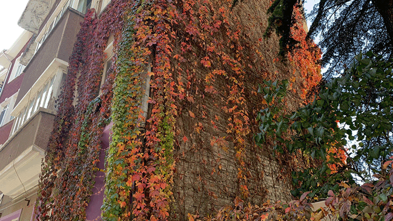 Eskişehir'de duvarlarda renk cümbüşü