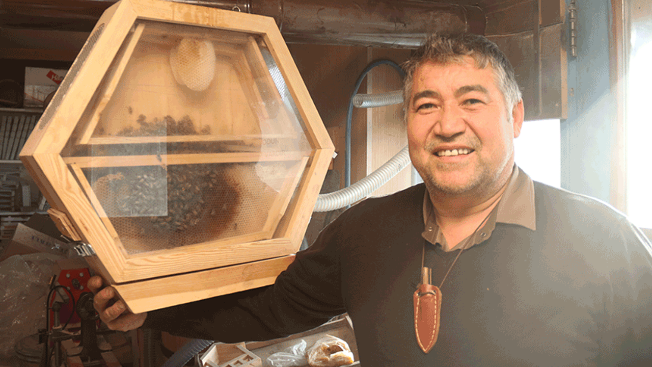 Eskişehir'de arıları gözlemlemek için kovan icat etti