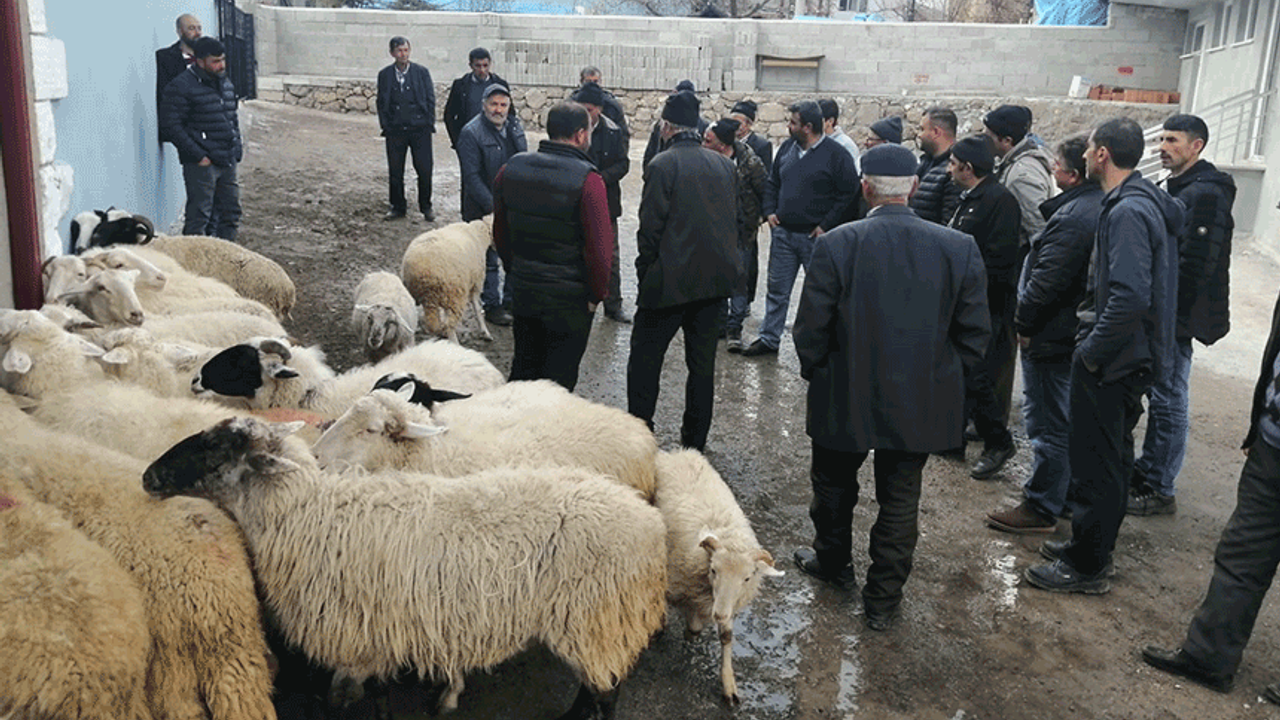 Köylüler koyunları açık arttırmayla satıp depremzedelere bağışladı
