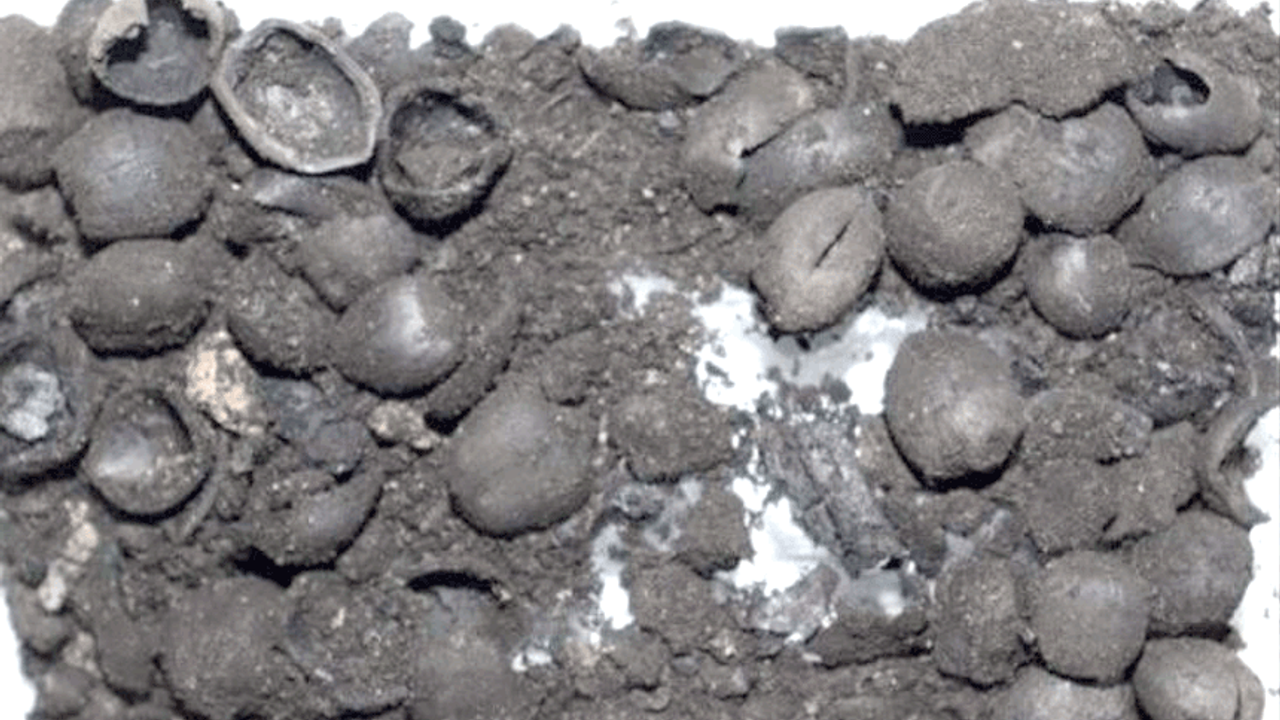 Kütahya'daki kazı dünyanın ön önemli keşifleri arasında yer aldı