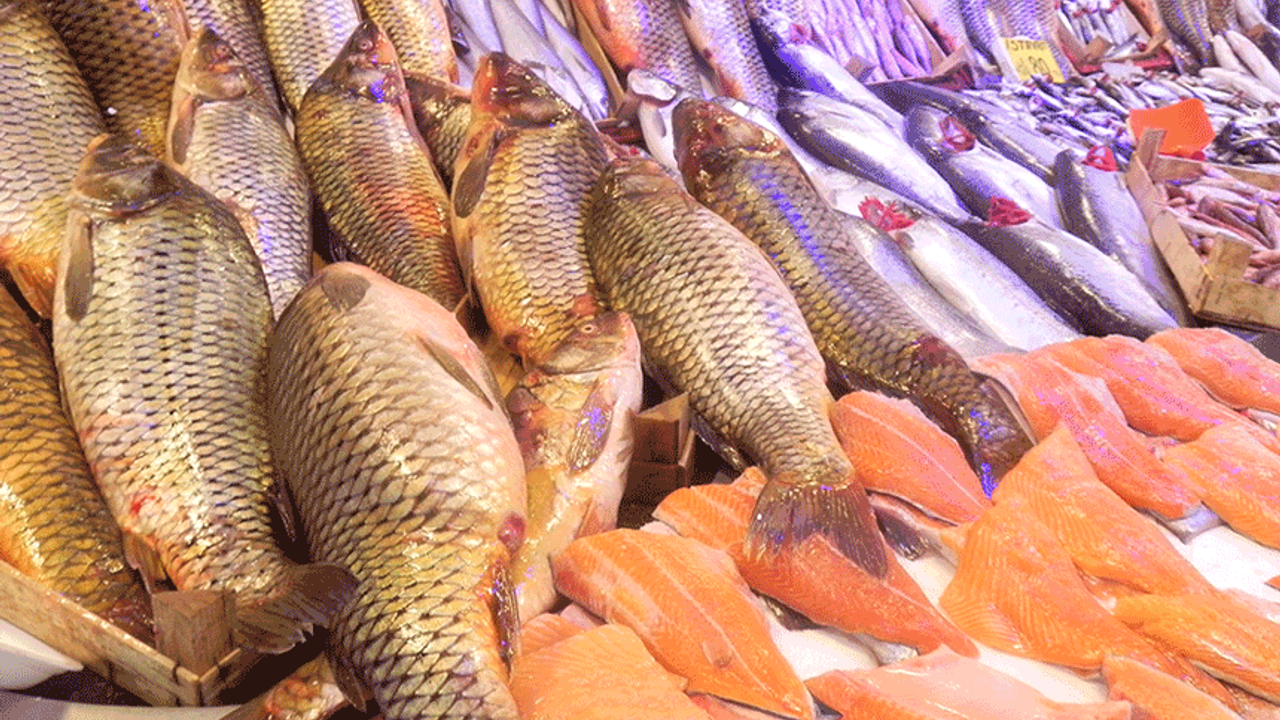 Eskişehir'de artan kıyma fiyatları balığa talebi artırdı