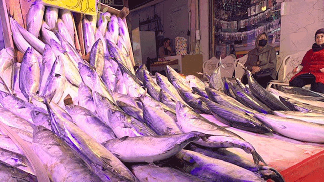 Eskişehir'de balık fiyatları cep yakıyor