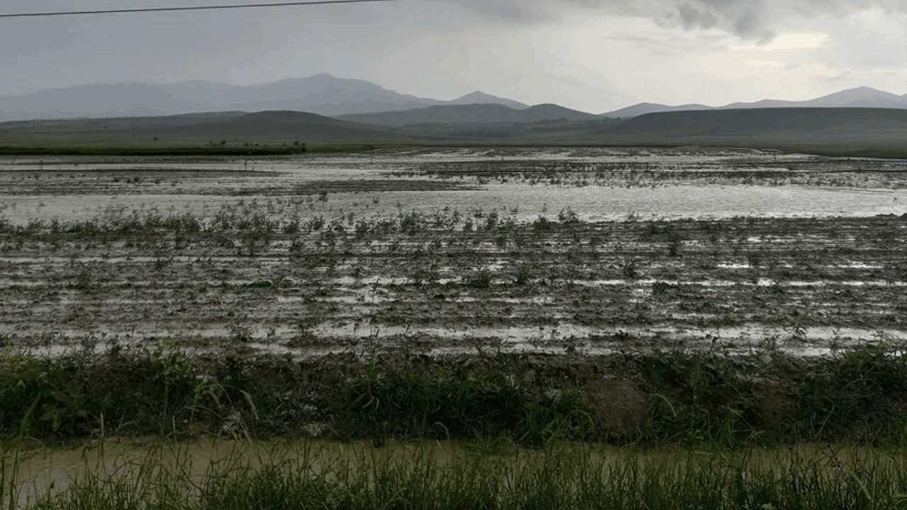 Eskişehir'de dolu yağışı tarım arazilerini vurdu