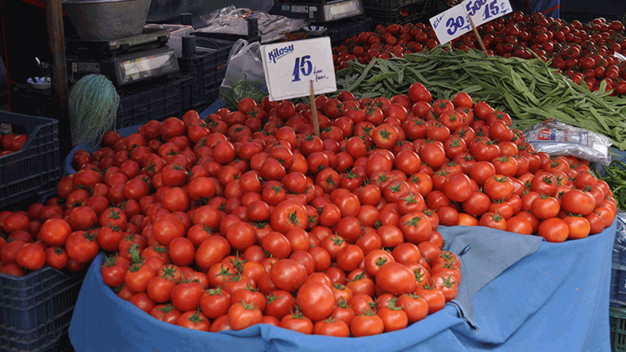 Eskişehir'de bu müjde sebze fiyatlarını düşürecek mi?