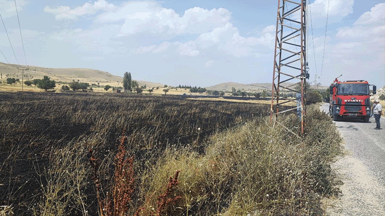 Afyon'da yangın: Üç dönüm arazi kül oldu