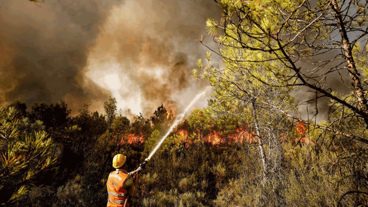 Eskişehir'de peş peşe orman yangınları