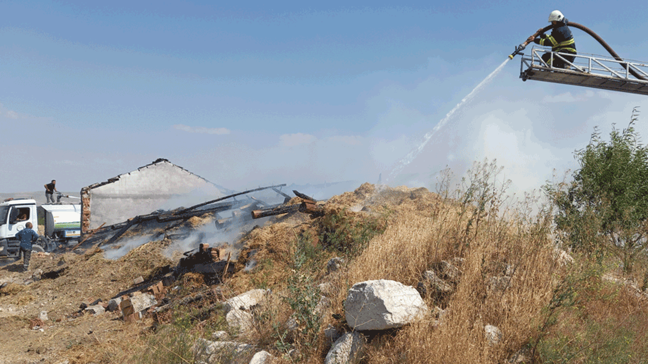 Eskişehir'de üreticiyi yangın vurdu: Büyük zarar