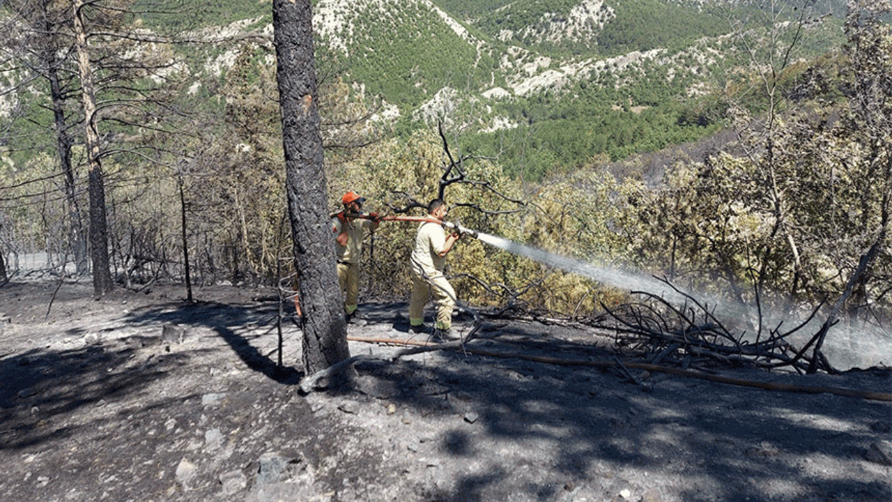 Bilecik'te 28 hektarın kül olduğu yangında soğutma çalışmaları devam ediyor