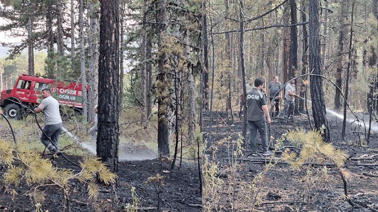 Bozüyük'te düşen yıldırım ormanı yaktı