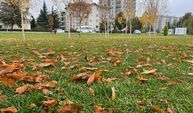 Eskişehir'in parkları sonbahar renklerine büründü
