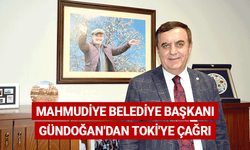 Mahmudiye Belediye Başkanı Gündoğan'dan TOKİ'ye çağrı