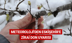 Meteoroloji'den Eskişehir'e zirai don uyarısı