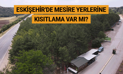 Eskişehir'de mesire yerlerine kısıtlama var mı? Önemli açıklama