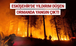 Eskişehir'de yıldırım düşen ormanda yangın çıktı