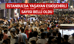 İstanbul'da yaşayan Eskişehirli sayısı belli oldu
