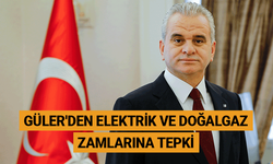 Güler'den elektrik ve doğalgaz zamlarına tepki