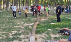Mangal keyfi az kalsın faciaya dönüyordu