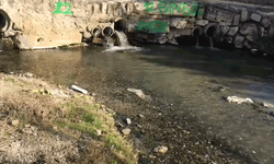Kaymaz'da sular boşa akıyor yetkililer sadece bakıyor