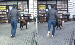 Eskişehir'de köpeğin yaptığı hırsızlık hayrete düşürdü