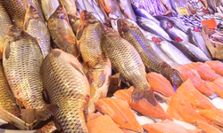 Eskişehir'de artan kıyma fiyatları balığa talebi artırdı