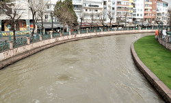 Porsuk Çayı'nda görenleri şaşırtan manzara