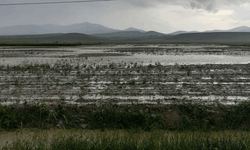 Eskişehir'de dolu yağışı tarım arazilerini vurdu
