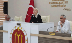 Bilecik ve Tepebaşı kardeş kent oluyor