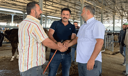 Eskişehir'de sıkı pazarlık: İşte kurbanlıklarda son fiyatlar