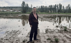 Eskişehir’de tarım alanlarında büyük hasar