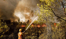 Eskişehir'de peş peşe orman yangınları