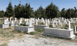 Eskişehir'de şaşkına çeviren olay: Mezarlıkta bulundu