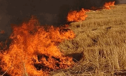 Afyon Şuhut'ta yüzlerce balya yanarak kül oldu