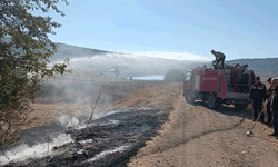 Dodurga'da anız yangını kontrol altına alındı
