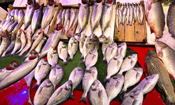 Eskişehir’de balık fiyatları için indirim açıklaması