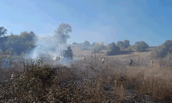 Yangın Pazaryeri ilçesinde tarım arazisini vurdu: 40 dönüm zarar gördü