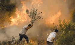 Domaniç Çamlıca köyü hayvan çiftliğinde yangın