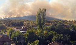 Eskişehir’de orman yangını: Bir ev kül oldu! Müdahale sürüyor