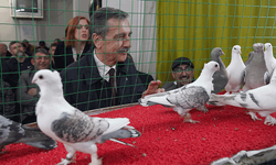 Başkan Ataç'tan Tepebaşı Güvercin Sevenler Derneği’ne ziyaret