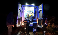 Kütahya'da kamyon devrildi: 2 yaralı