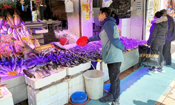 Eskişehir’de balık tezgahlarına zam etkisi