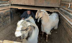 Afyon'da hayvanları çalınan vatandaşa jandarmadan yardım