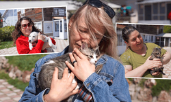 Eskişehir’de binlerce sokak hayvanına sıcak yuva buldular